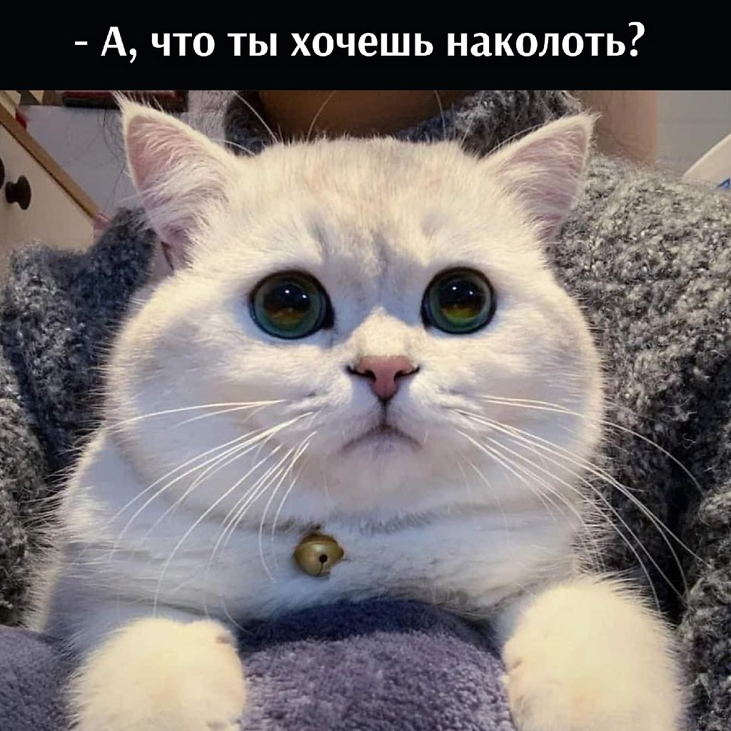  ,   - 2