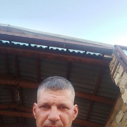 , 41 , --