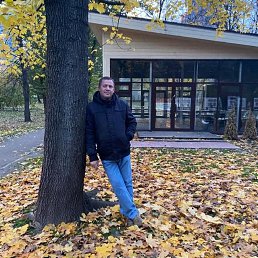 ������, 50 ���, ������