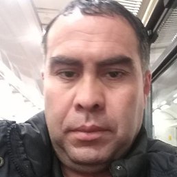 ����, �����, 43 ����