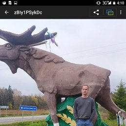 ���������, ������, 50 ���