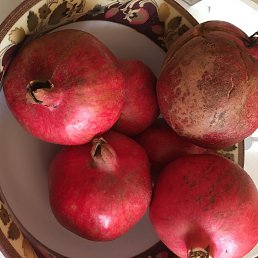 ���� �����, ��������, 54 ���� - ��������� 3 ������� 2025