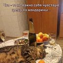 ���� �������, ������ �������� - ��������� 7 ������ 2026 � ������ ������ ��������