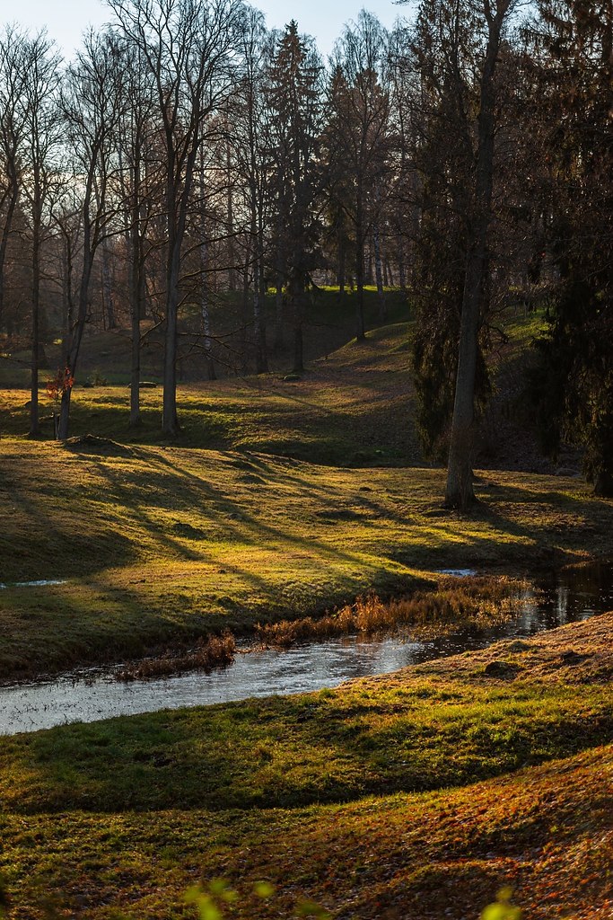 �� +16 �������� ��������� � ����������� � ����������. ����� ����������� ������� ������ �� ����.