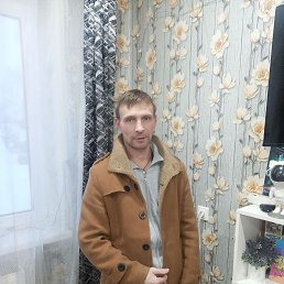 ���� �����, ��������, 43 ���� - ��������� 8 ������ 2026