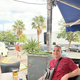 ���� �����, ���������, 52 ���� - ��������� 16 ������� 2025