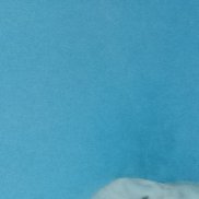 ��������, 32 ����, �������