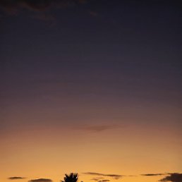 .S., ����� �����