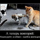 ���� ���������, �������, 52 ���� - ��������� 26 ���� 2026 � ������ ������ ��������