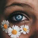 ���� ��������, �����-���������, 48 ��� - ��������� 1 ��� 2024 � ������ ���� ����������