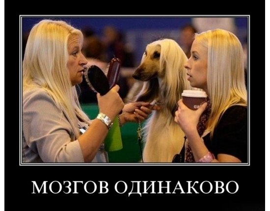   - 6  2025  18:57