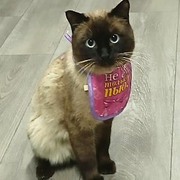 ���� �����, ������, 47 ��� - ��������� 17 ����� 2026