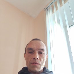 , 44, 
