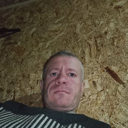 ����, 38 ���, �����������