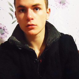 , 29, 