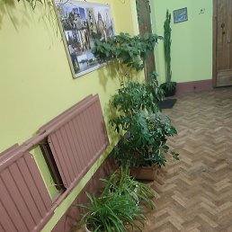 ��������, �����-���������, 32 ����