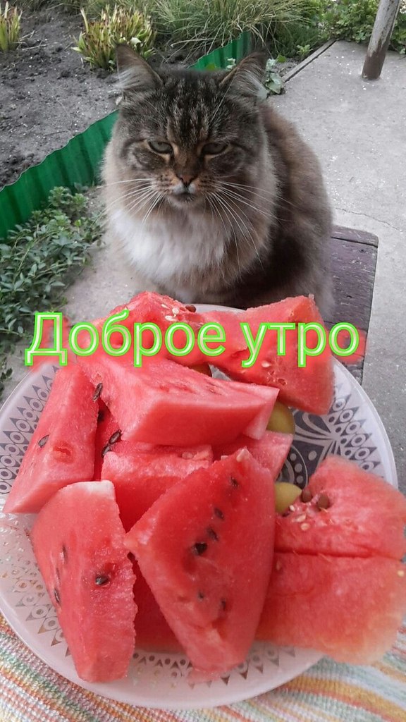   ,    . - 23  2025  01:06