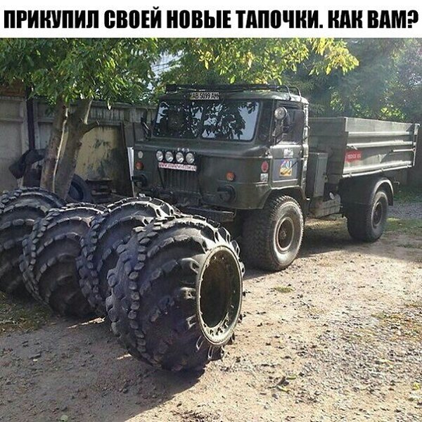 �� ����� - ������������� ������ �1 - 7 �������� 2024 � 16:35