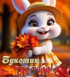 ������ - 24 ������ 2025 � 23:24