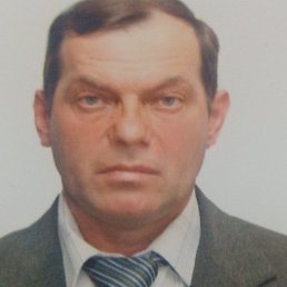 , 61, 