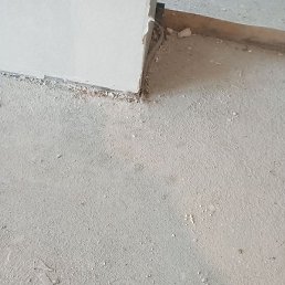 �����, ����, 48 ���