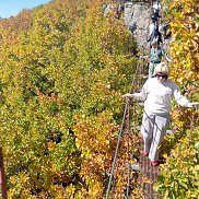 Elena, 58 ���, ������������