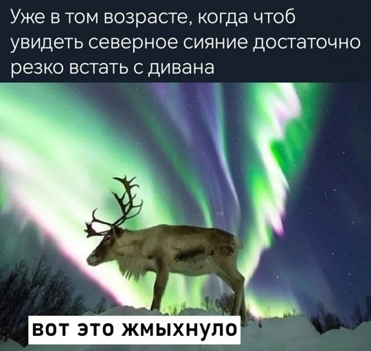  - 14  2025  20:48