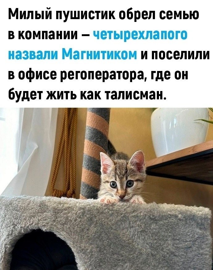 -   - 3