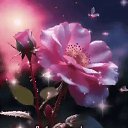 ���� �����, ������ - ��������� 21 ������ 2026 � ������ ������ ��������