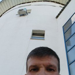 , 41, 