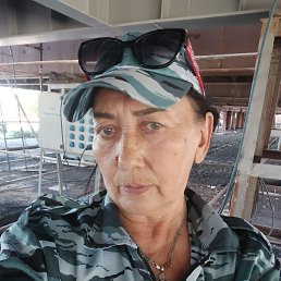 , 61, 