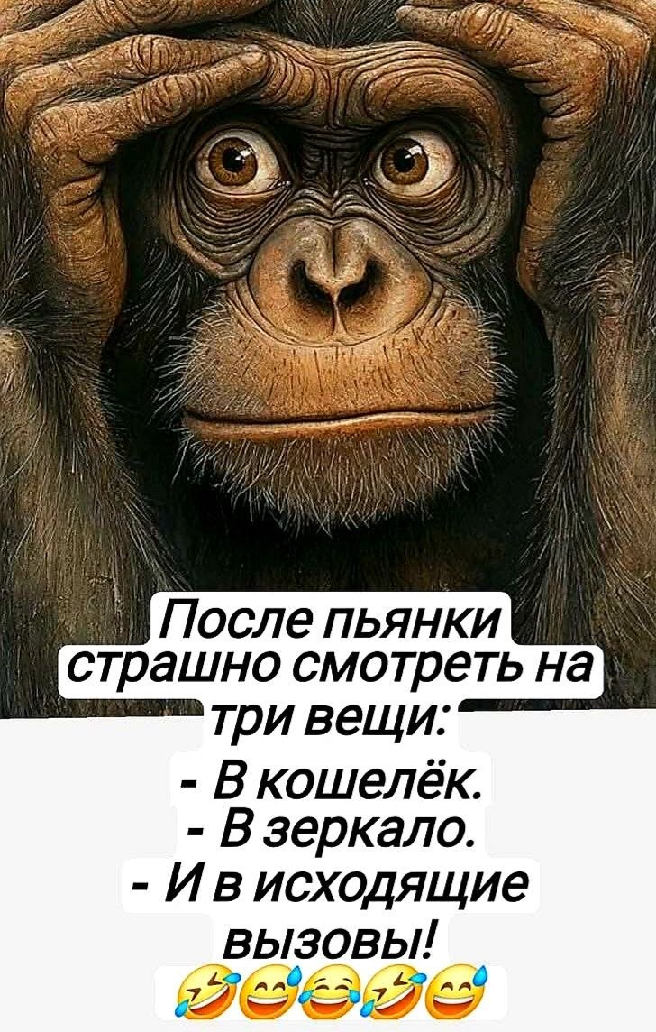   - 22  2025  04:54