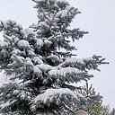 ���� �������, �������, 62 ���� - ��������� 3 ������ 2026