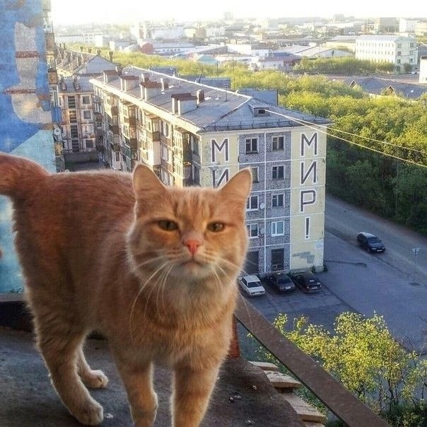 M, , !