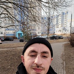 , 33, 