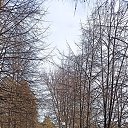���� ������, �����-������� - ��������� 23 ������ 2025 � ������ ���� ����������