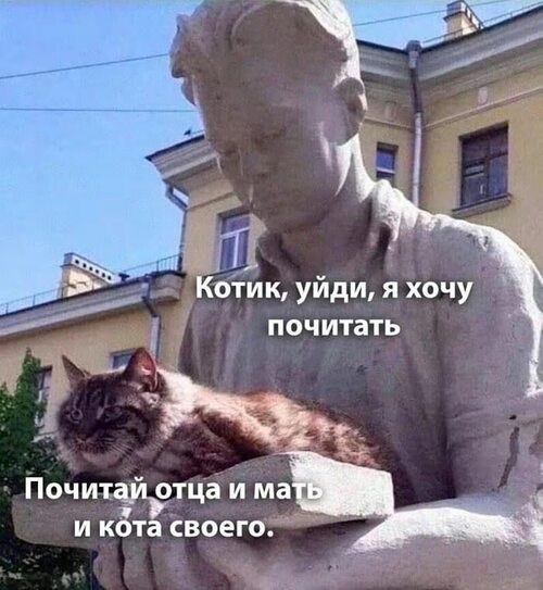 Всё будет хорошо! - 11 августа 2025 в 08:18