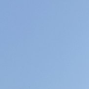 �����, 21 ���, ����������