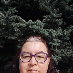 , 46, 