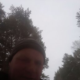 �������, ���������, 47 ���