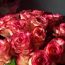 ���� �������, �������� - ��������� 16 ������� 2024 � ������ ���� ����������