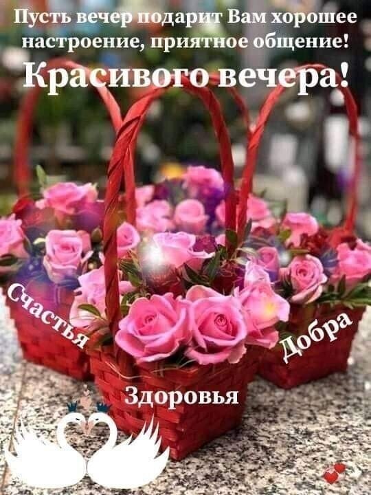   ,    . - 8  2025  15:32