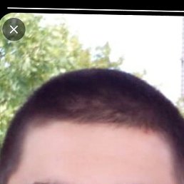 ���� ���������, ���������, 37 ��� - ��������� 14 ������ 2026