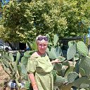 ���� ������, ��������, 53 ���� - ��������� 28 ����� 2026 � ������ ���� ����������