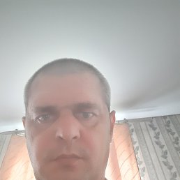 , 41,  