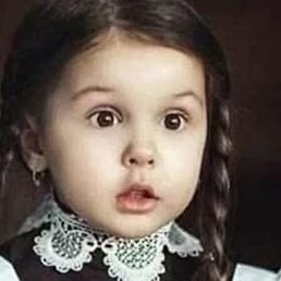 Ruellia, ������