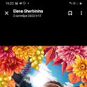 ���� ����, ��������, 48 ��� - ��������� 4 ������� 2023