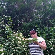 , 54 , 