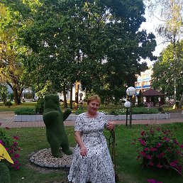 ���������, �����, 66 ���