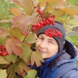 �������, �����, 52 ����